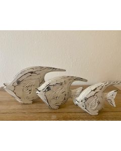 Set Of 3 Angel Fish