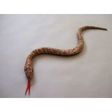 small snake sand critter