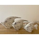 Set Of 3 Angel Fish