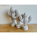 Set Of Three Cacti