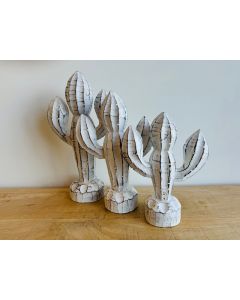 Set Of Three Cacti