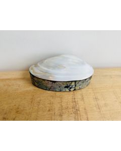  Small Shell Jewellery Box