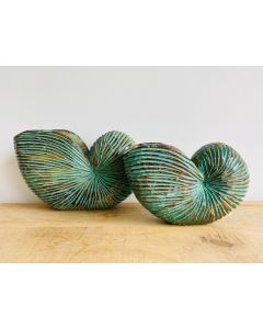 Pair Of Rustic Nautilus Green