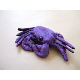 small crab sand critter
