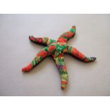 small starfish sand critter