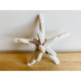 Starfish Stack - White