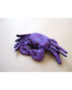 small crab sand critter