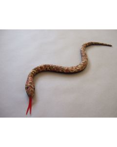 small snake sand critter