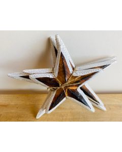 Set of 3 starfish